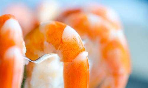 prawn cocktail prawn cocktail